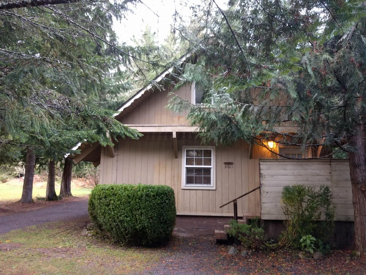 Chalet At Mt. Rainier Vila Ashford Exterior foto
